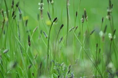 cao国产,历史、文化与现代发展的交融画卷